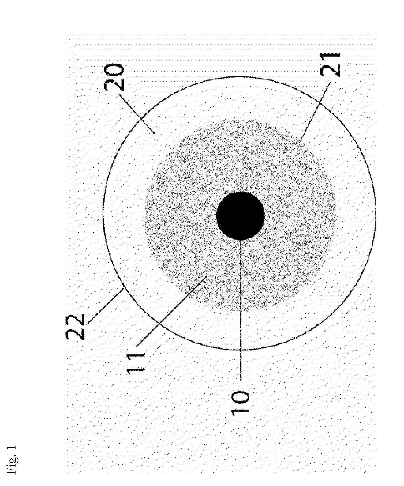 Oriented contact lens with brightly colored sclera