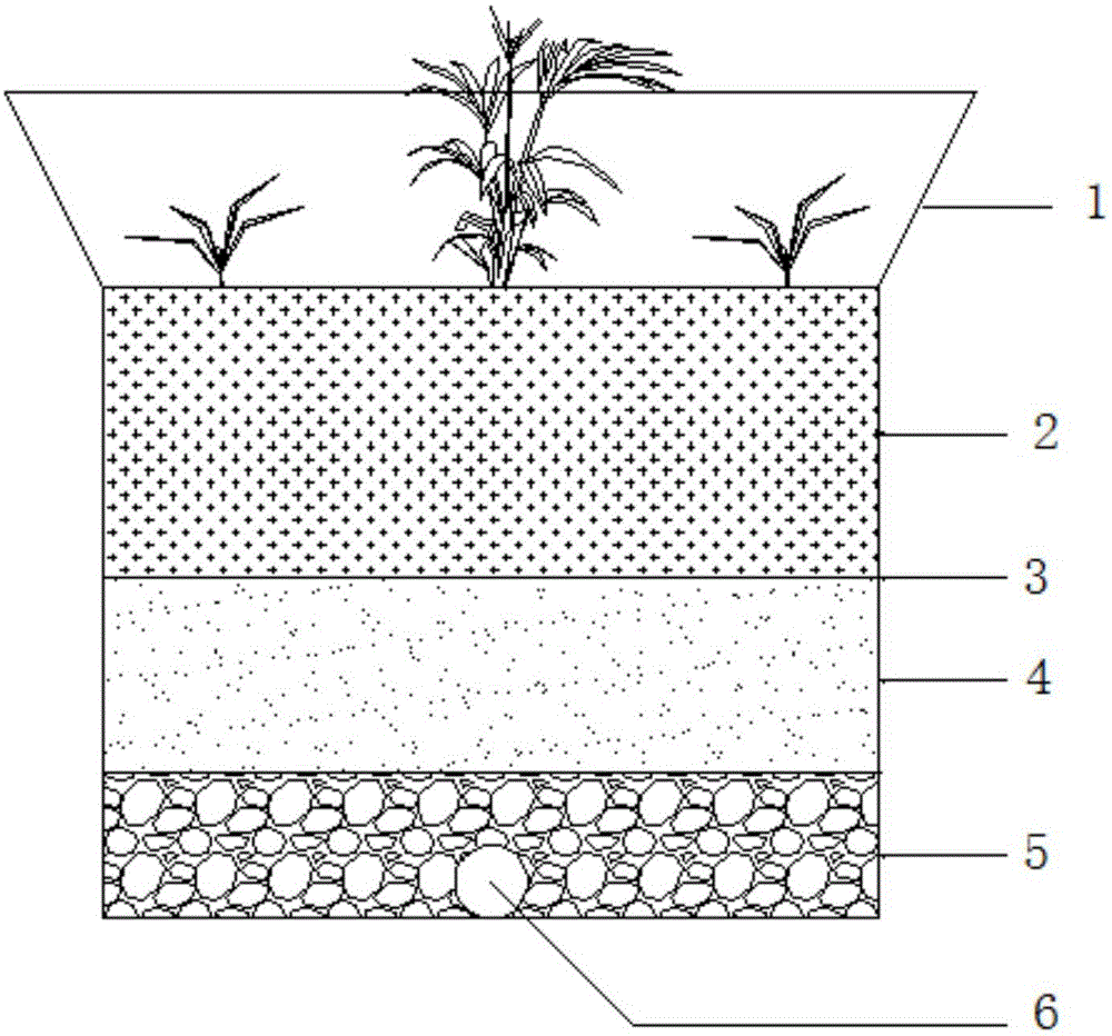 Biological filter and design method thereof