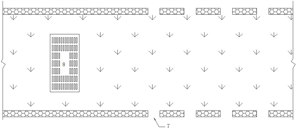 Biological filter and design method thereof