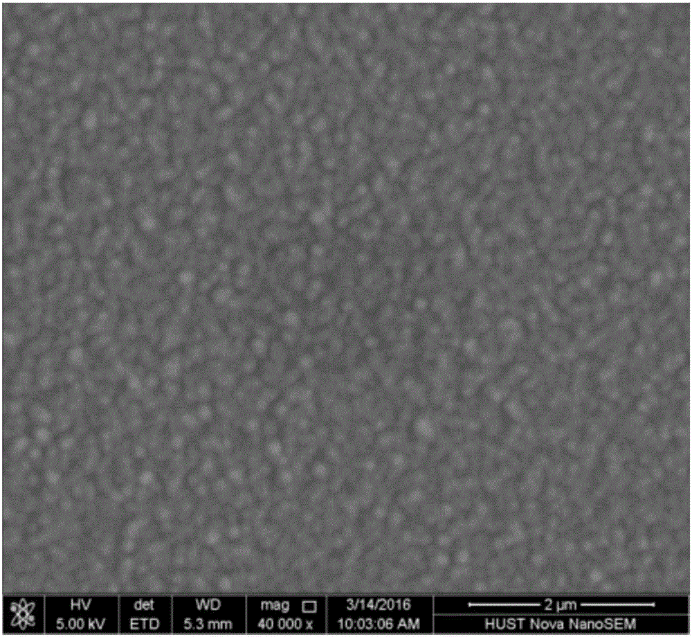 Preparation method for graphite-phase carbon nitride thin film modified electrode