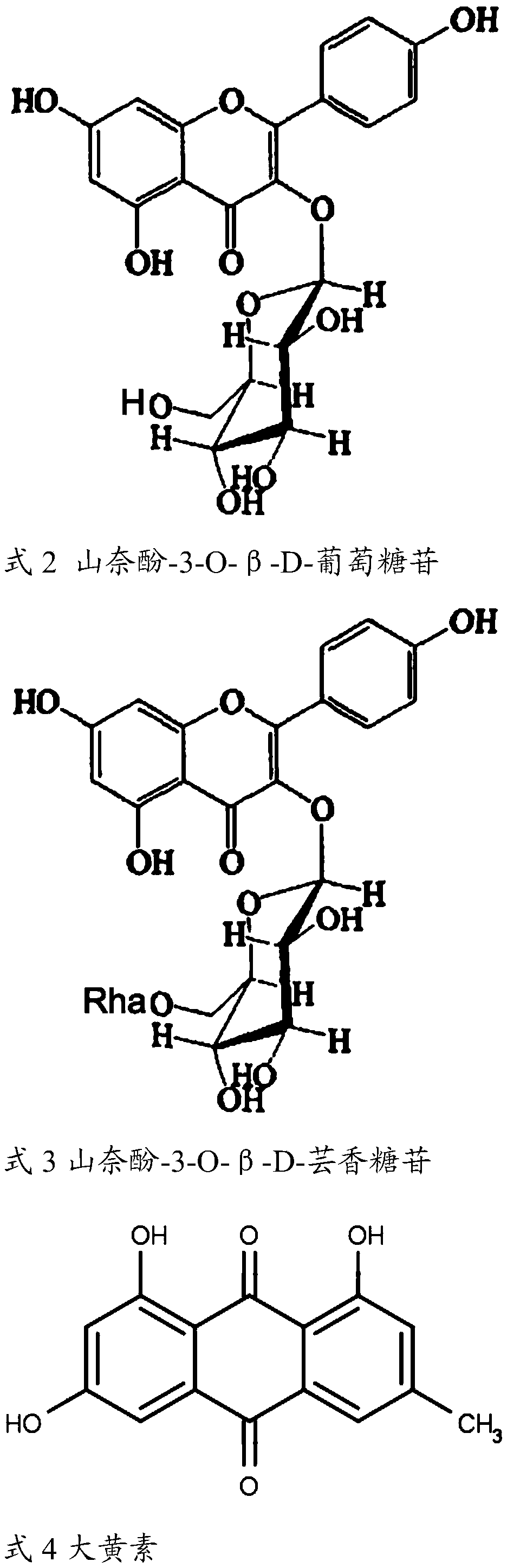 Acetylcholine esterase inhibitor prepared by using cyrtomium rhizome, preparation method and application