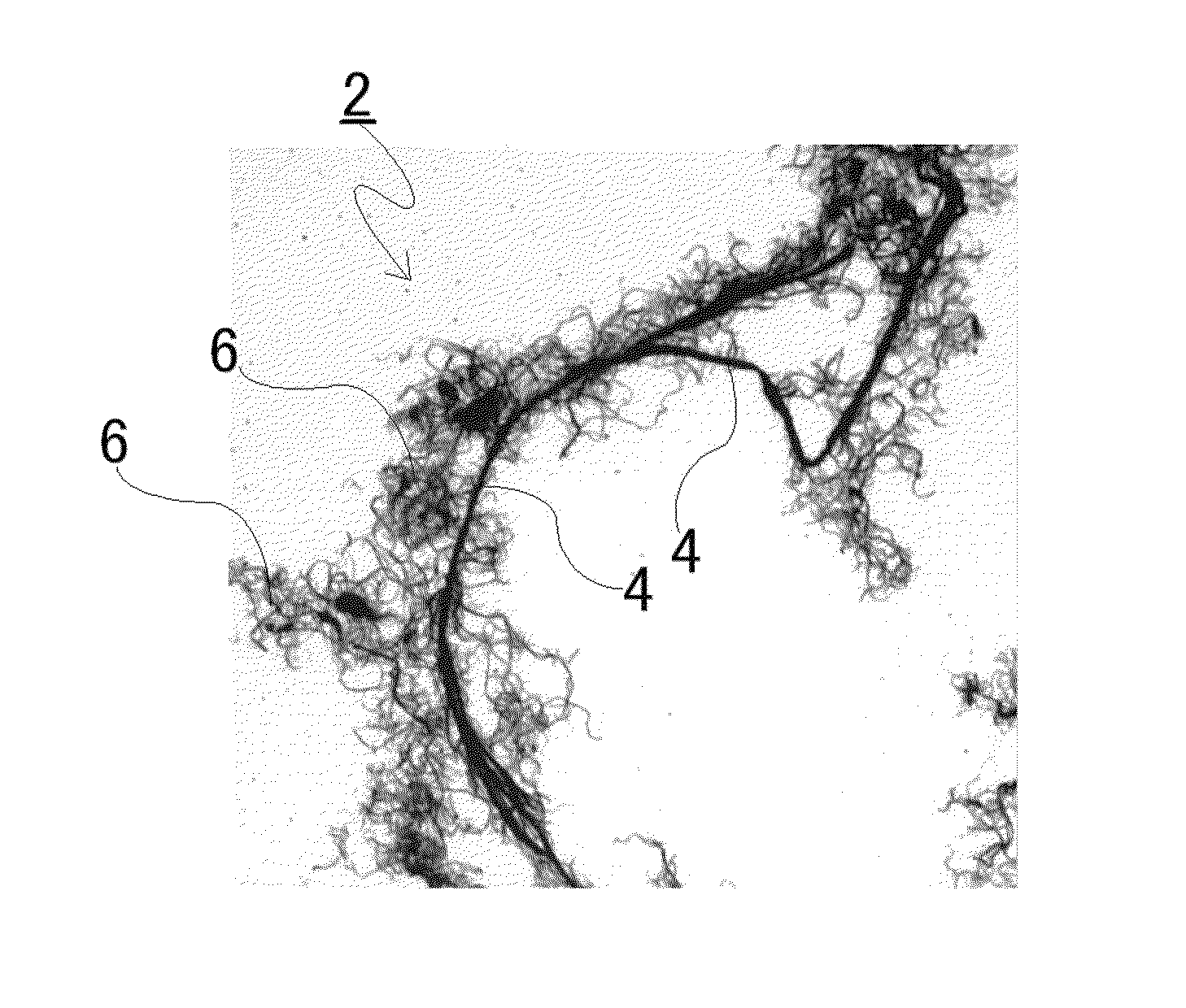 Conductive sheet and production method for same