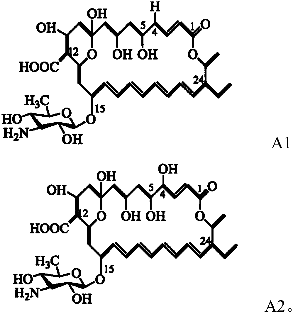 Bactericide composition and application thereof