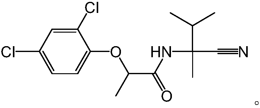 Bactericide composition and application thereof