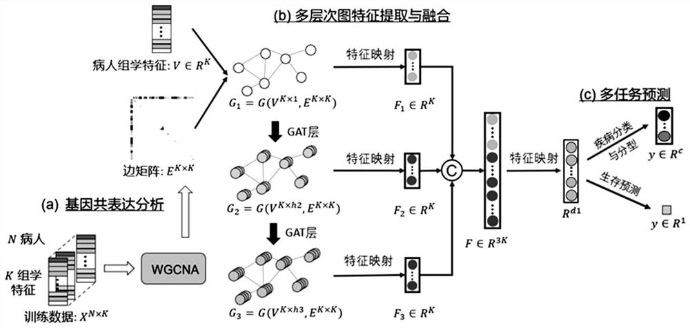 Omics data processing method and device based on a graph neural network, equipment and medium