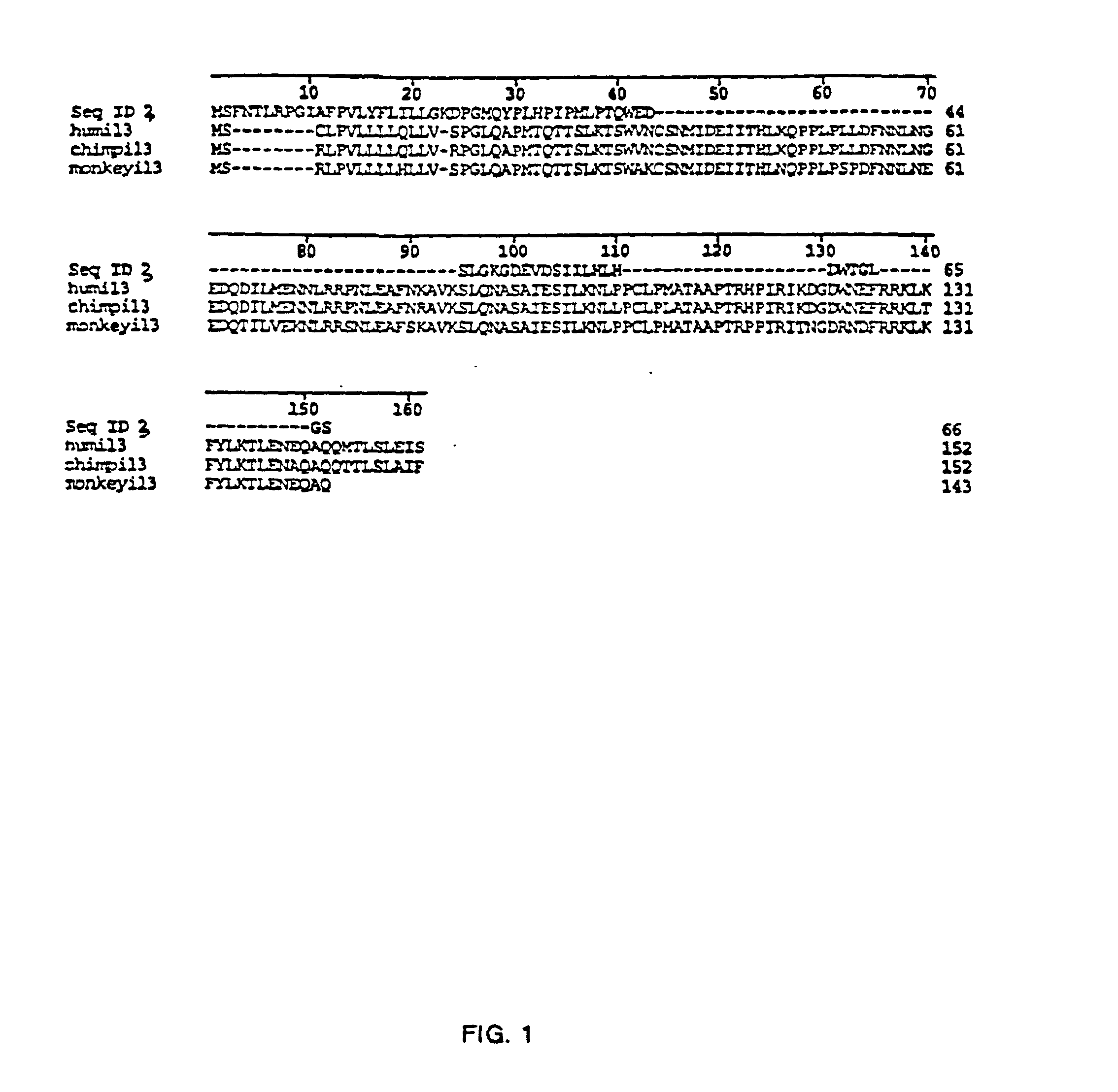 Novel interleukin-3 and uses thereof