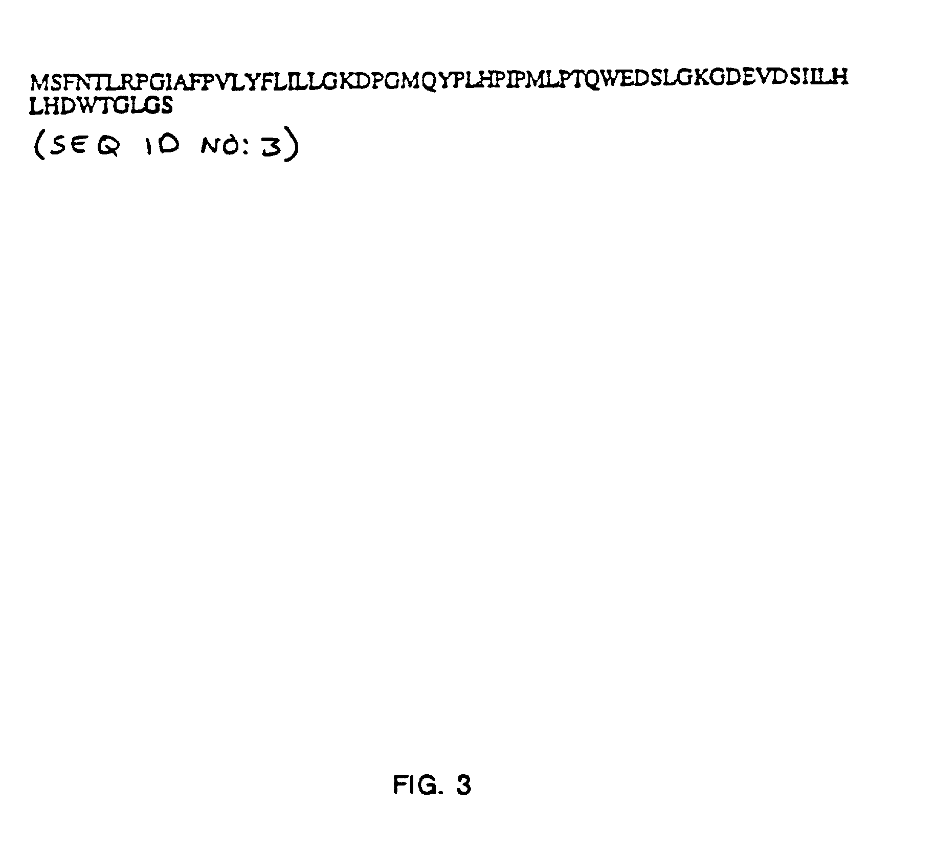 Novel interleukin-3 and uses thereof