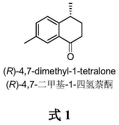 Method for asymmetrically catalyzing and synthesizing (R)-4, 7-dimethyl-1-tetralone