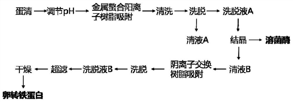 A combined separation method of lysozyme and ovotransferrin in egg white