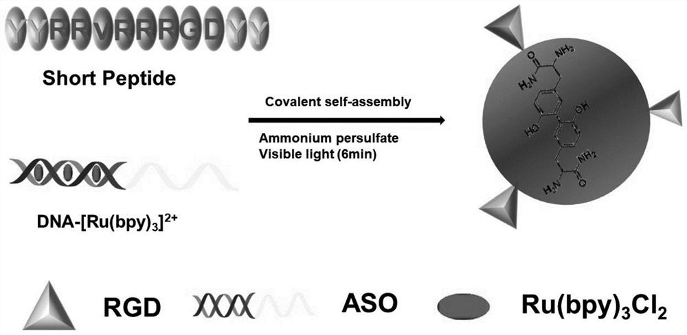 Non-viral vector formed based on covalent assembly of terpyridyl ruthenium catalytic oligopeptides, and preparation method and application of non-viral vector