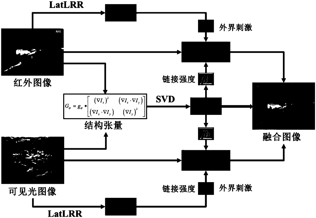 Image fusion method and apparatus based on latent low rank representation and structure tensor