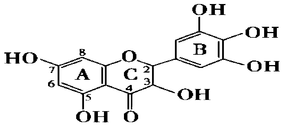 Method for extracting dihydromyricetin and Ampelopsis grossedentata polysaccharide from Ampelopsis grossedentata