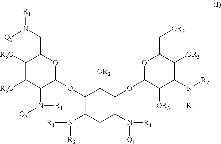 Antibacterial aminoglycoside analogs