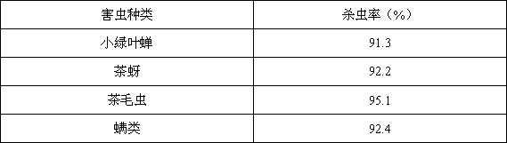 Method for applying muscardine to prevent and control pests and diseases of tea leaf