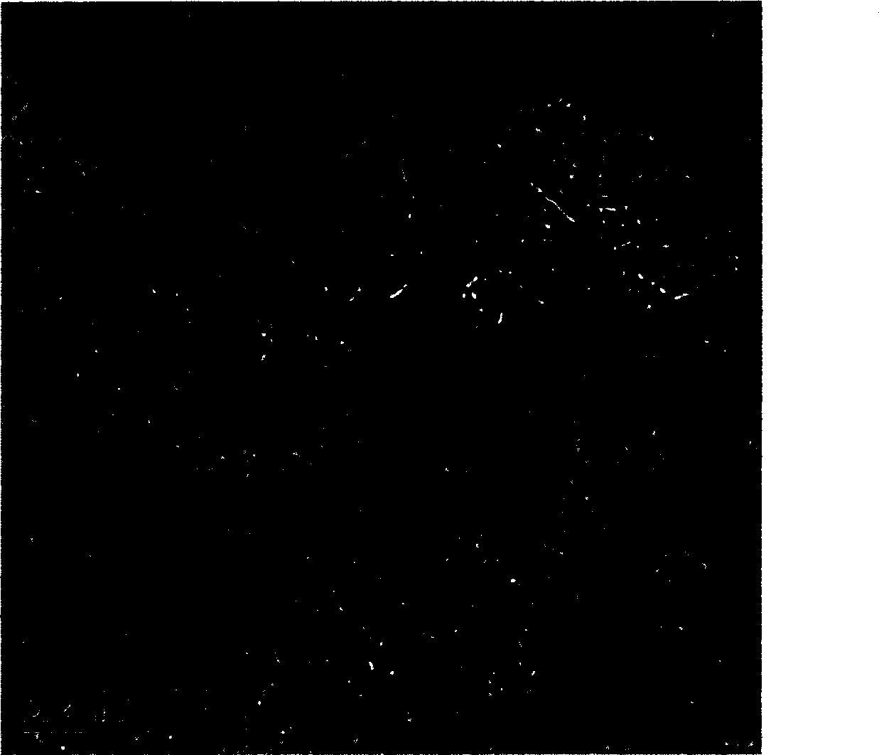 Environment-friendly inflaming retarding smoke-inhibiting shaping phase-changing energy storage material and preparing method thereof