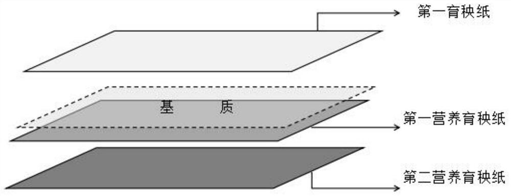 A seedling raising device suitable for machine-transplanted older seedlings and its application