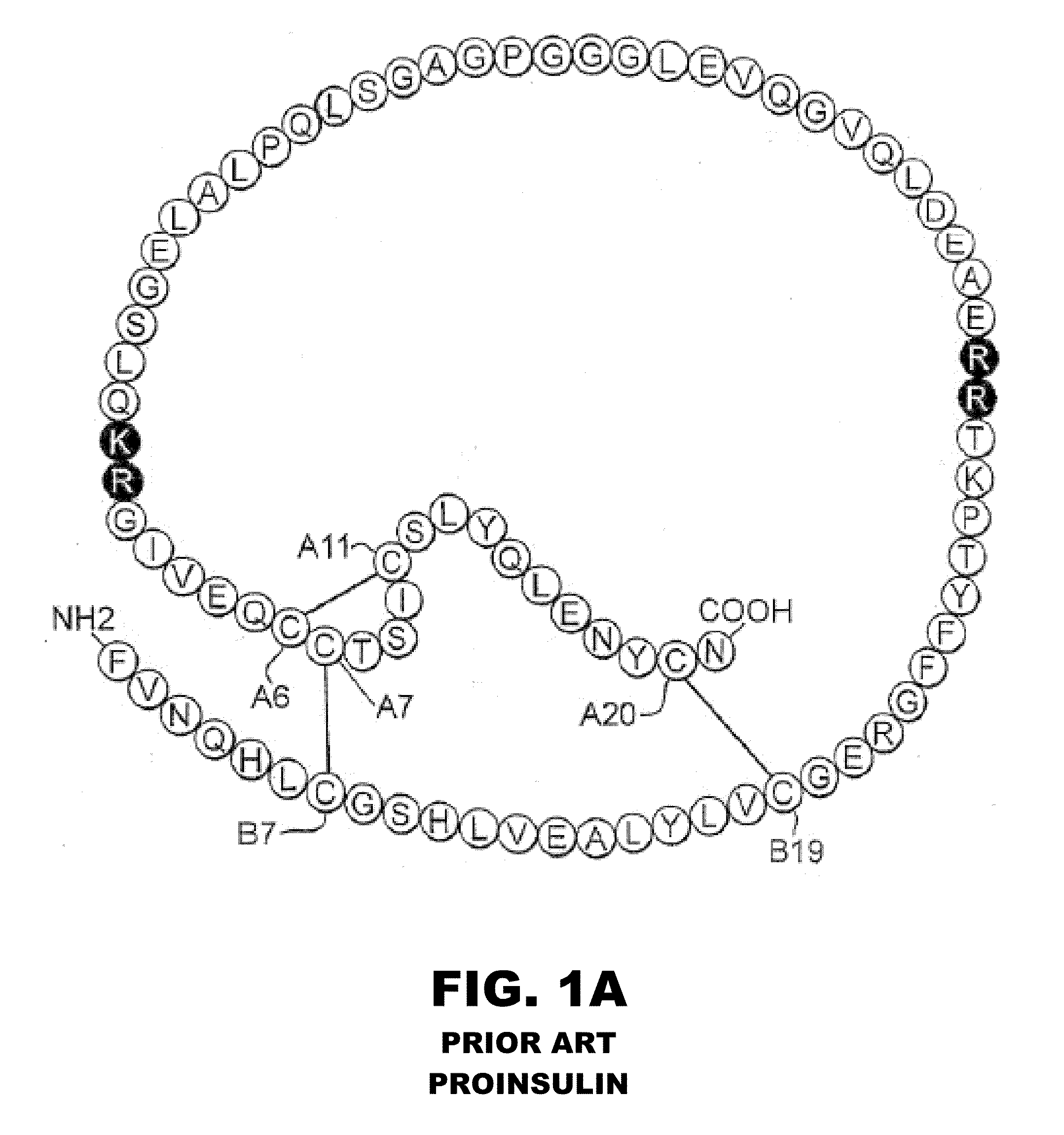 Halogen-stabilized insulin