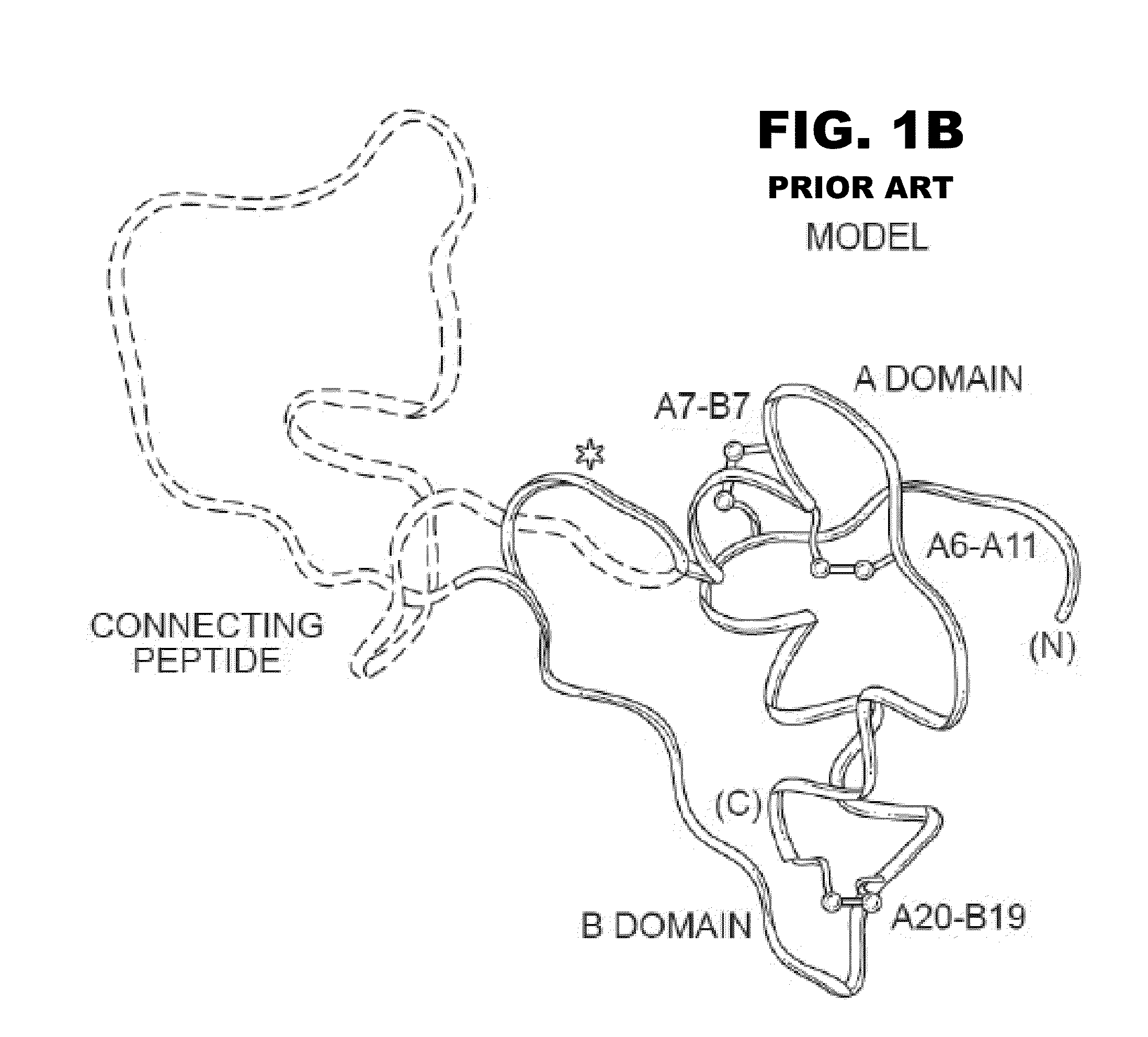 Halogen-stabilized insulin