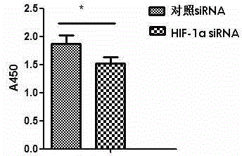 AmiRNA-HIF-1alpha sequence containing recombinant plasmid