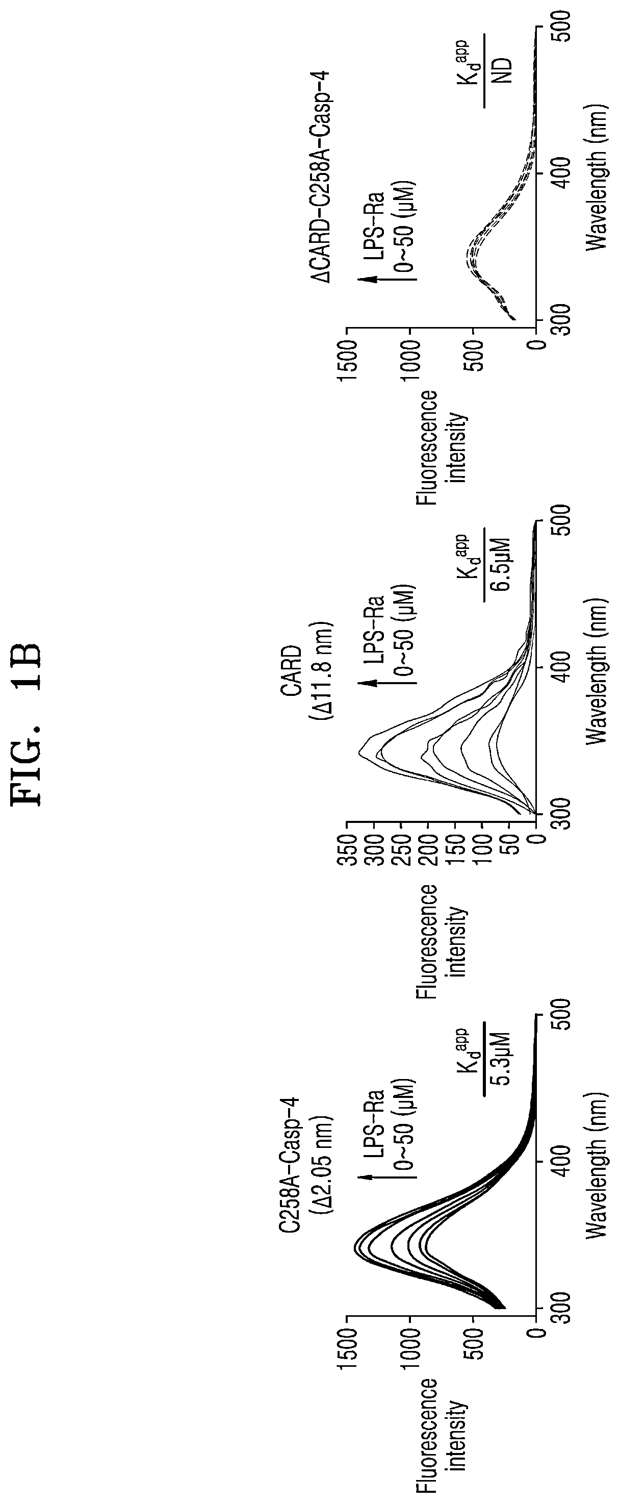 Method of screening inhibitor of caspase activity by lipopolysaccharide