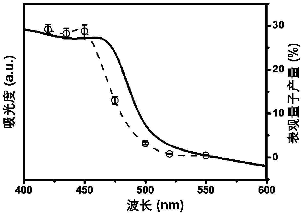 Rhodium-loaded bismuth venerate with efficient photocatalytic water splitting oxygen production performance and preparation method and application of rhodium-loaded bismuth vanadate