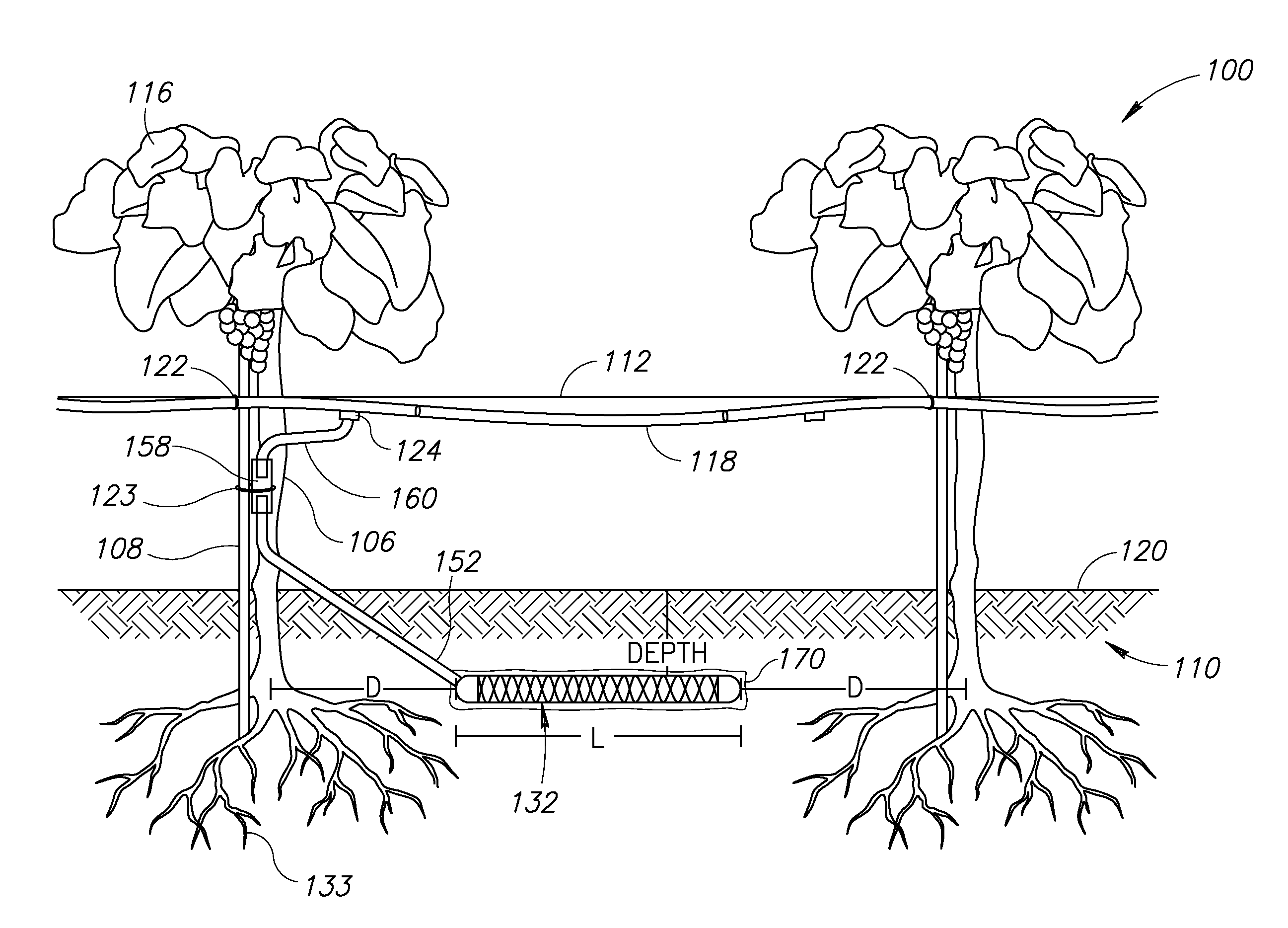 Underground irrigation system