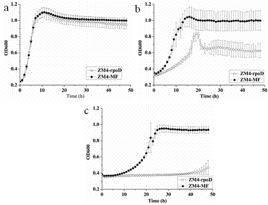 Furfural-resistant zymomonas mobilis and preparation method and application thereof