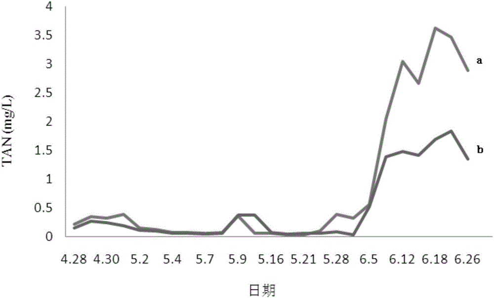 Method for improving water quality of cyprinoid breeding pond