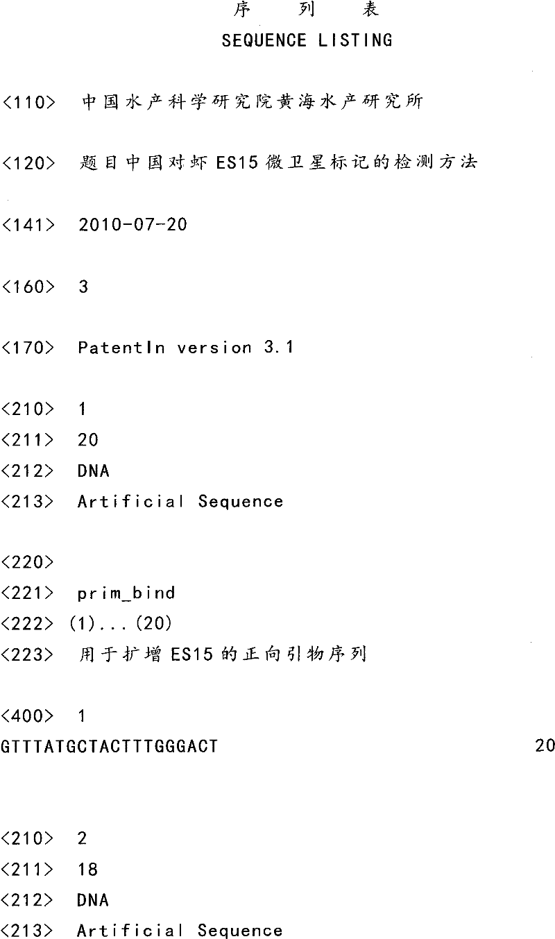 Method for detecting ES15 microsatellite markers of Chinese shrimps