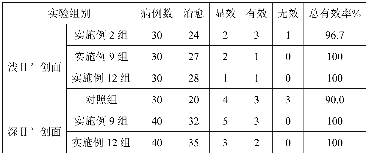 Burn and scald medicine, hydrogel plaster containing same and preparation method of hydrogel plaster