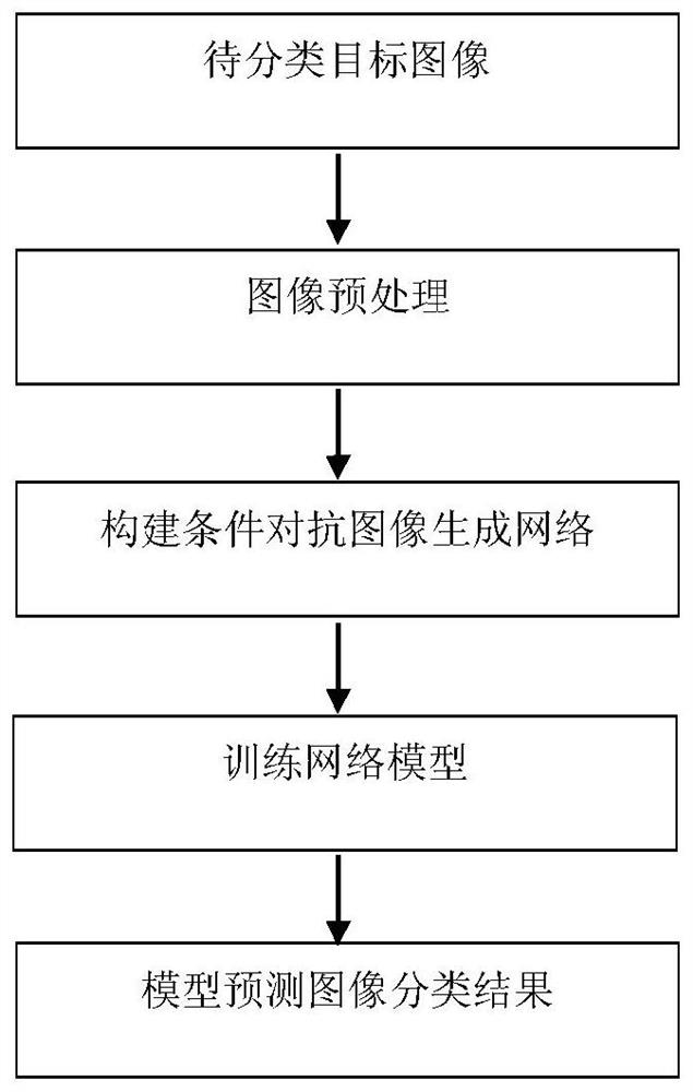 An Unsupervised Domain Adaptive Image Classification Method Based on Conditional Generative Adversarial Networks