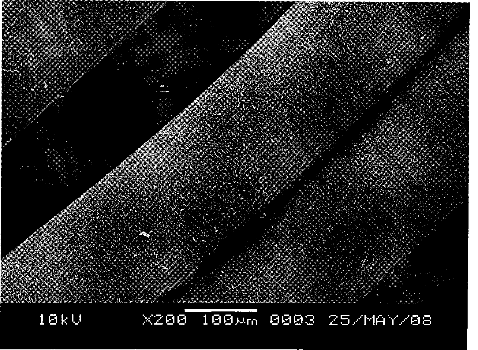 Complex fiber with high conductivity, high elasticity and stress sensing property and preparation thereof