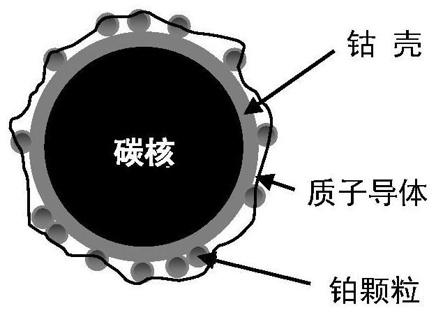 A cobalt-coated carbon-supported platinum catalyst with proton transport function and preparation method thereof