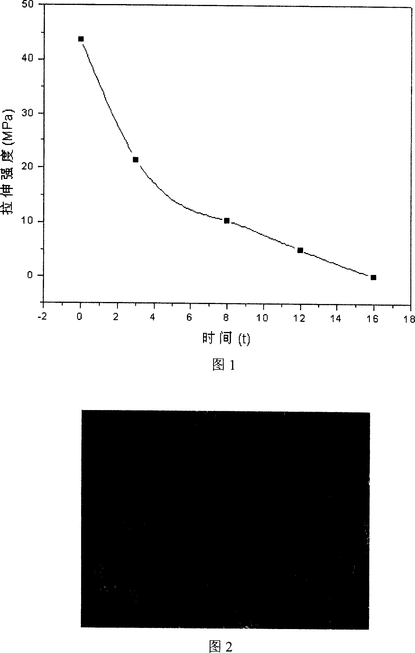 Method for preparing aqueous nontoxic degradable polyurethane elastomer