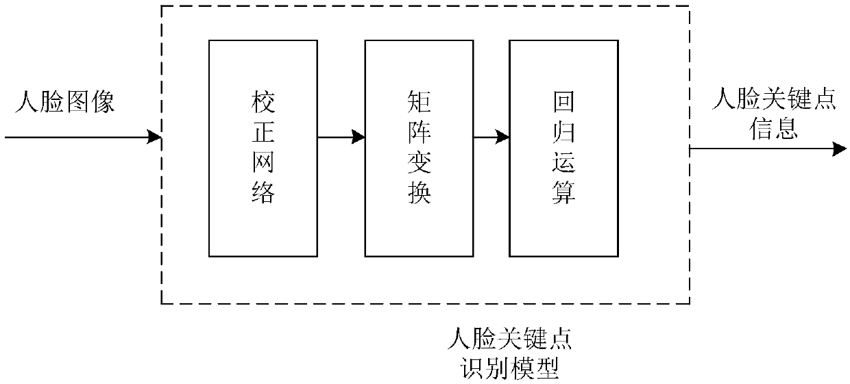 Human face key point detection method and apparatus