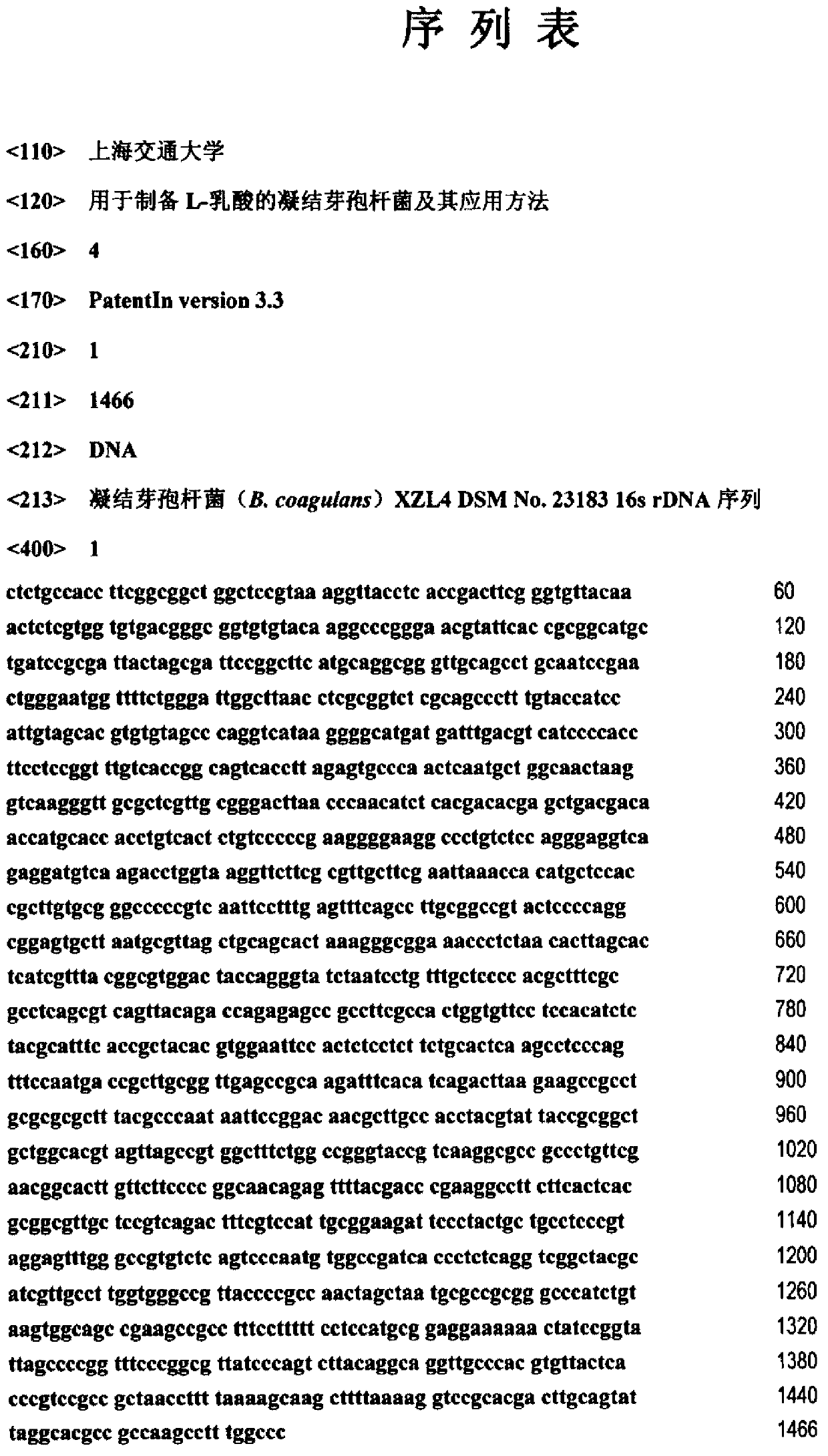 Bacillus coagulans used to preparing L-lactic acid and application method thereof