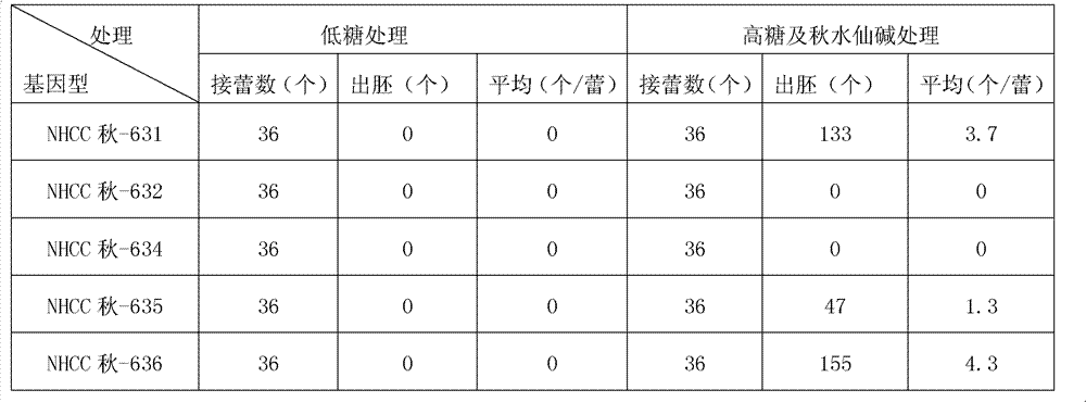 Method for increasing incidence rate of isolated microspore embryos of Brassica campestris var. peruviridis