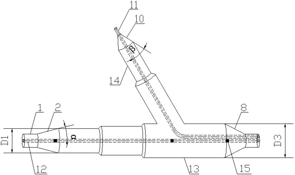 Bifurcated saccule