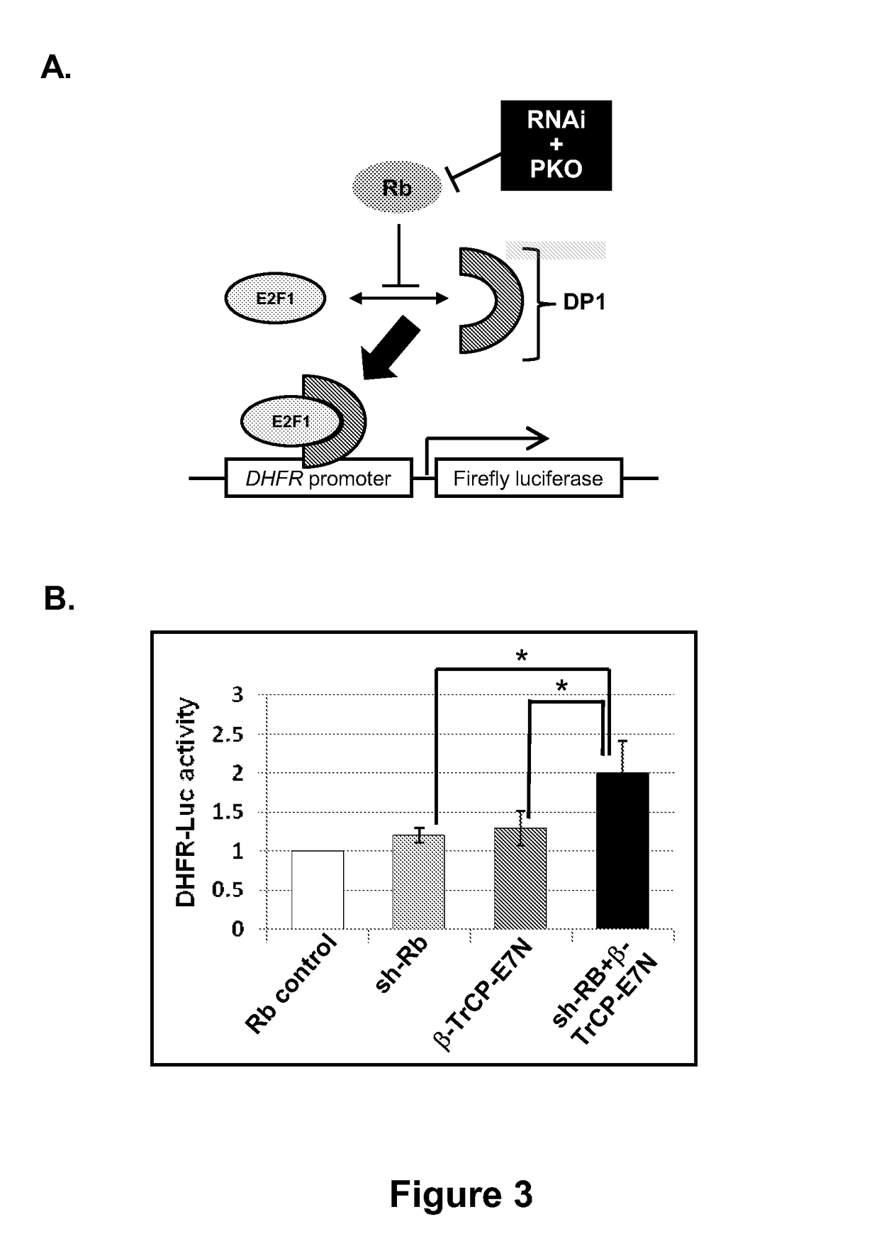 Methods for reducing protein levels in a cell