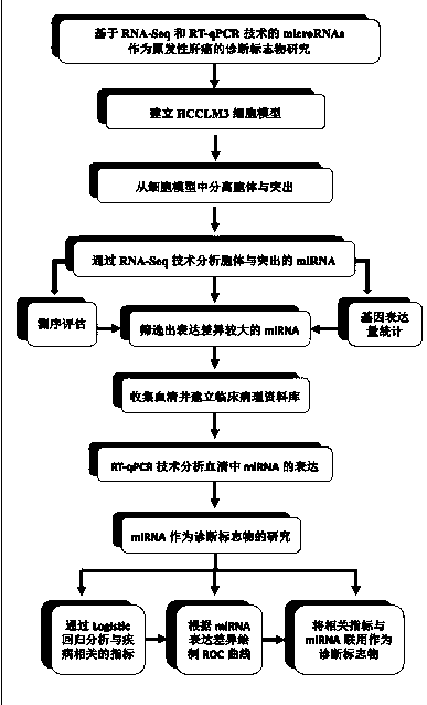 Serum specific biomarker used for diagnosing primary liver cancer and screening method and application thereof