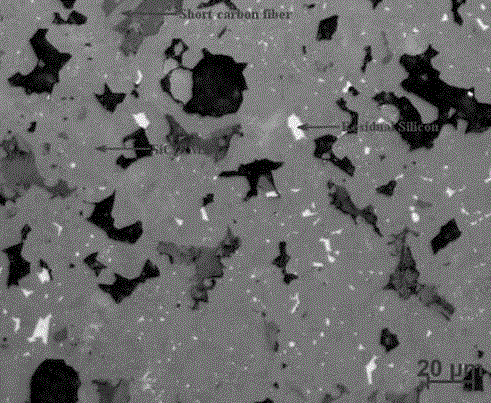 Method for preparing carbon fiber toughened silicon carbide wood-ceramics