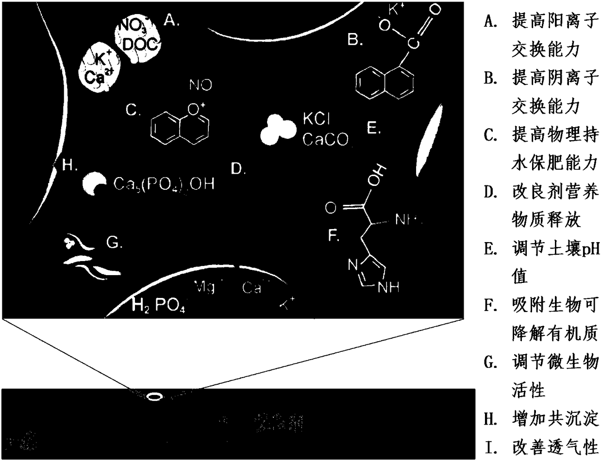 Method for preparing soil conditioner from gelatin solid waste