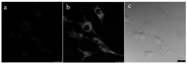 Mitochondria fluorescent probe with double fluorescence emission as well as preparation method and application thereof