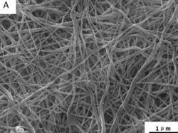 Preparation method of carbon nanofiber/β-cyclodextrin-based nanofiber membrane with sandwich structure