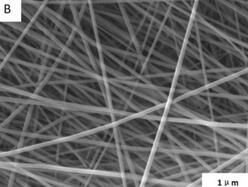 Preparation method of carbon nanofiber/β-cyclodextrin-based nanofiber membrane with sandwich structure