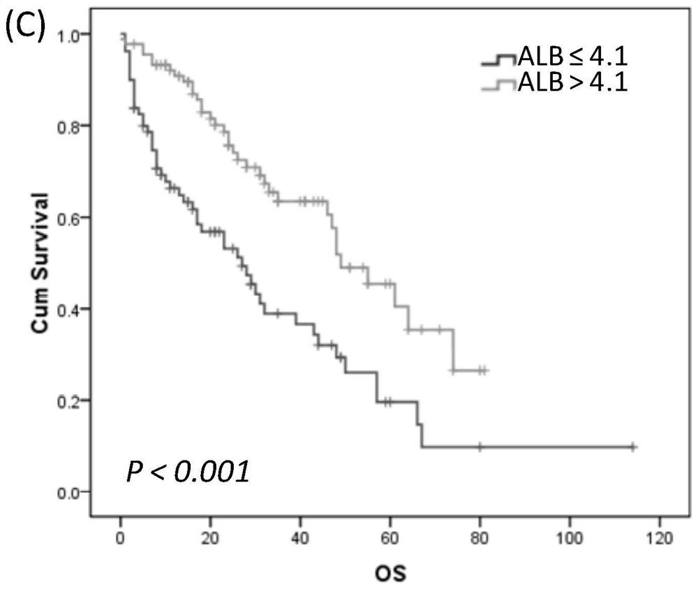 Establishment method and application of primary central nervous system lymphoma prognosis model based on albumin and ECOG-PS