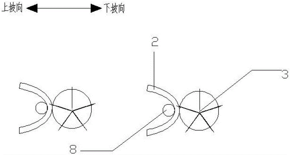 Anti-drought mountain garden greening structure and method