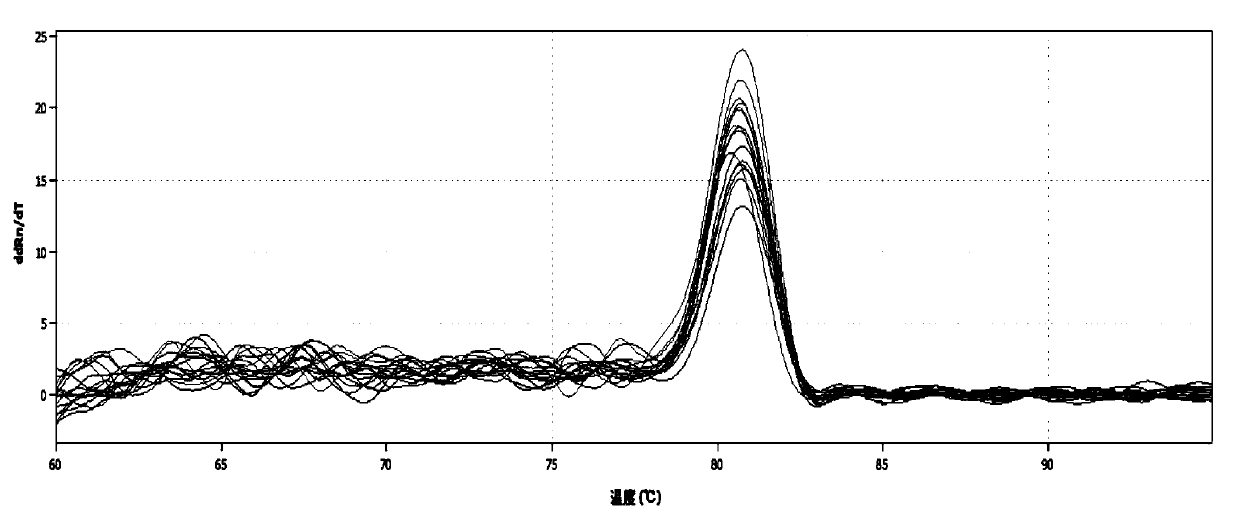 Passiflora internal reference gene penadp and its screening method and application