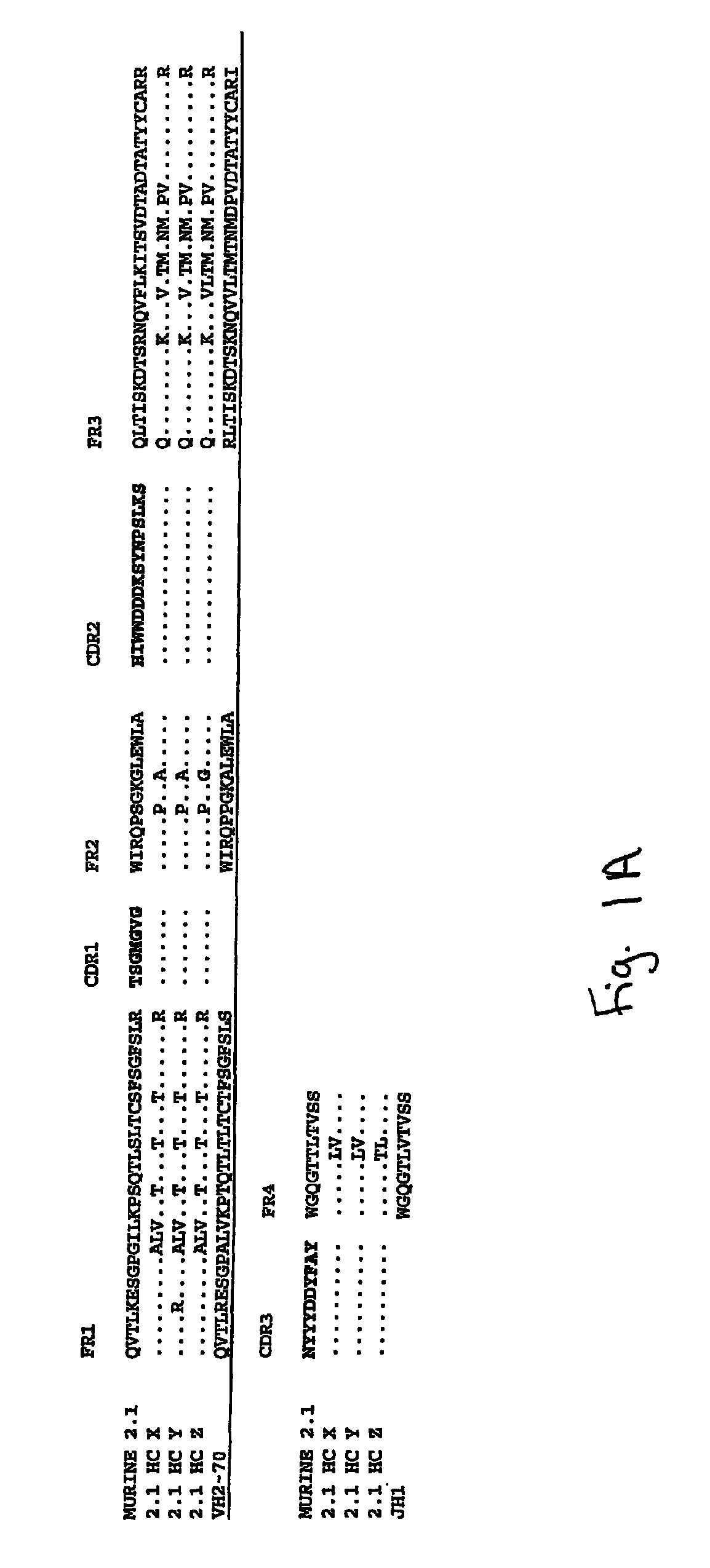 Humanized anti-amyloid antibody