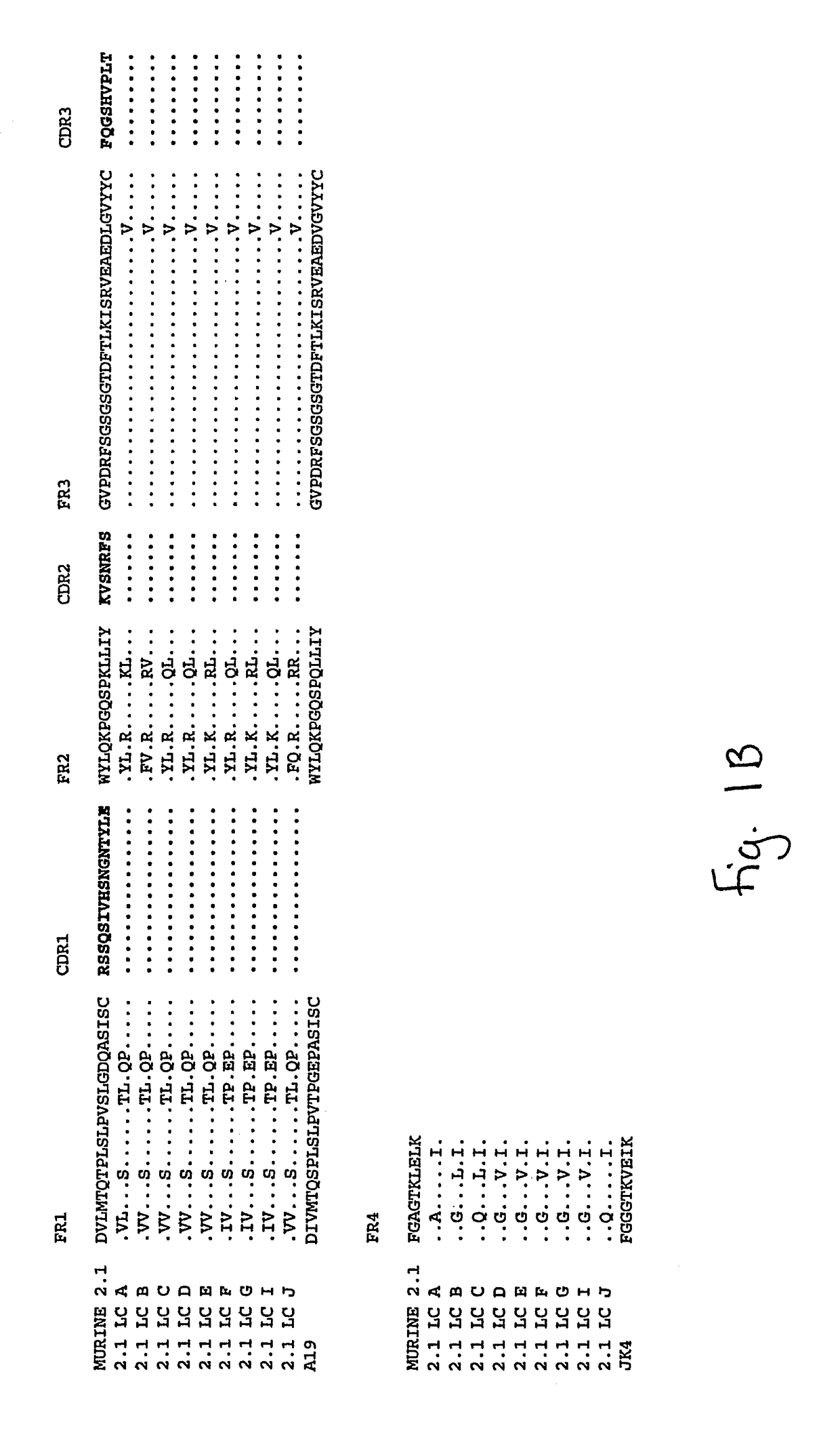 Humanized anti-amyloid antibody